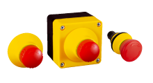 ES21